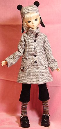 �������Ă����̂͗L�